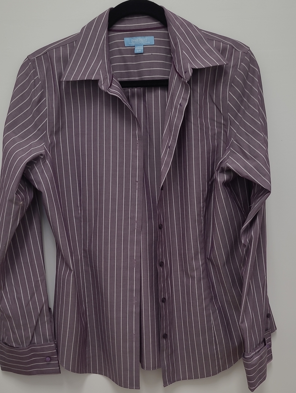 Denver Hayes Women’s Purple Stripe Dress Shirt